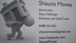 Shauns Moves