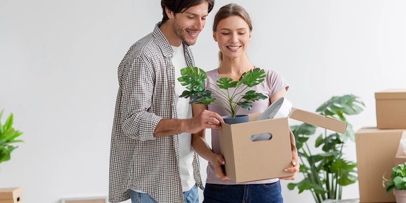 Green relocation: Expert tips for safely moving your beloved plants