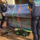 Mates Group Removals