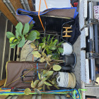 Little Truck Removalists